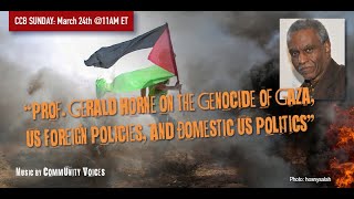 Prof. Gerald Horne on the Genocide of Gaza