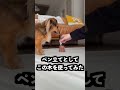 男性が使い方を間違える木の正体がまさかだった！