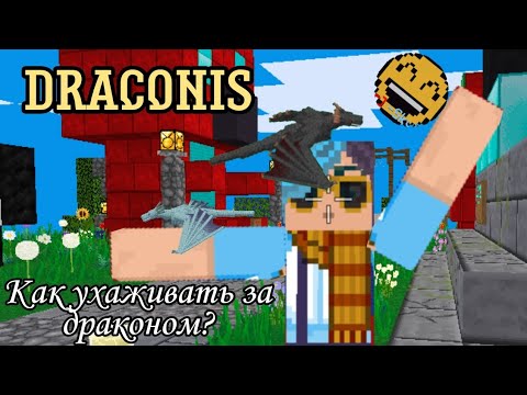 Draconis; Как ухаживать за драконом?