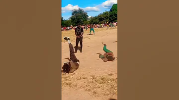 Kisima Kisima Nyanda Majabala Akitoa Shooo Leo Tarehe 4 8 2025 Ushetu Nyamilangano Siku Ya Mwenge 
