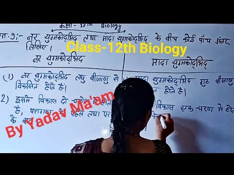 वीडियो: सेवा कुत्तों के लिए वेस्ट रंग का मतलब क्या है?