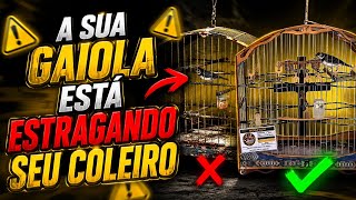  VOCÊ SABIA QUE O SEU COLEIRO E PAPA CAPIM PODE ESTAR CALADO POR CAUSA DA GAIOLA ? @manotom 