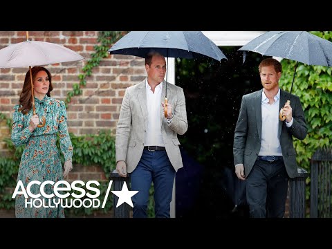 Prince William & Prince Harry Visit Public Tributes To Princess Diana | Access Hollywood