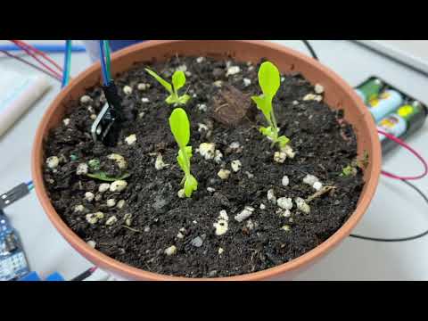 IOT Automatic Irrigation System