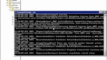 Java EE Programming: Enterprise Java Beans (EJB 3.0) and Java Persistence (JPA)