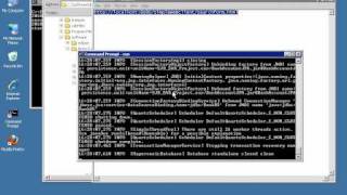 Java EE Programming: Enterprise Java Beans (EJB 3.0) and Java Persistence (JPA)