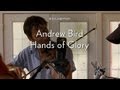 Capture de la vidéo Andrew Bird "Hands Of Glory"