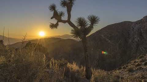 Sunset at Keys View in Joshua Tree National Park