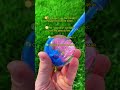 Как знаки зодиака выглядят во сне! #знакизодиака #зз