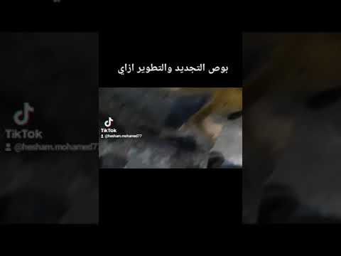 شوف ازاي التجديد قبل وبعد الشغل