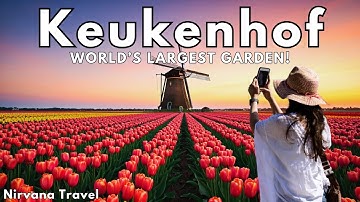 🌷 KEUKENHOF 2025 Ultimate Guide: Tulip Fields, Flower Parade Secrets & Hidden Gems You Can’t Miss!