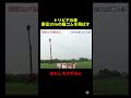 一瞬だけびびったわw #shorts #tv #tiktok #twitter #面白い