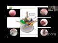 Endoscopy basics   ralf wagner