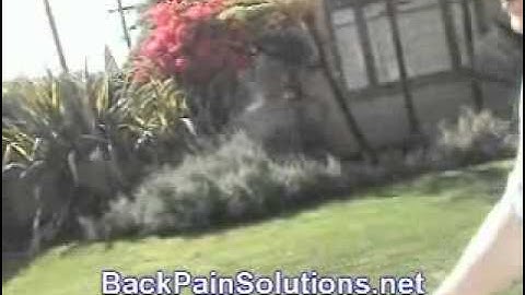 Back Pain Solutions With Alexander Technique XII