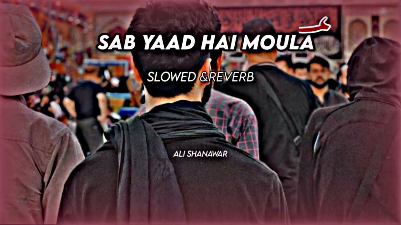 Sab Yaad Hai Moula Ali shanawar noha Slowed reverb