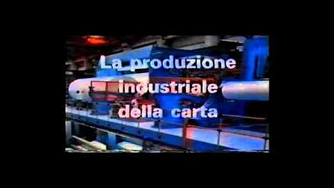 Qual'è la principale materia prima utilizzata per fare la carta?
