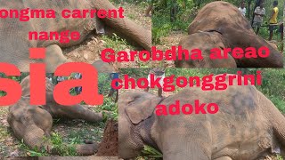 Mongma carrent nange sia Garobdha areao chokgonggrini adoko