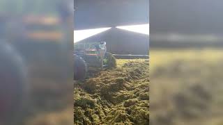 Buckrake 1