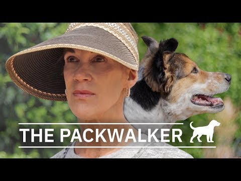 Video: So Werden Sie Ein Professioneller Tiersitter / Dog Walker