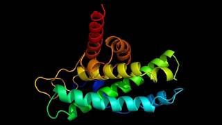Protein in Focus: AlphaFold’s Million-Plus Complex Predictions Explained