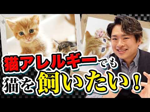 Don't give up even if you have a cat allergy! We'll introduce you