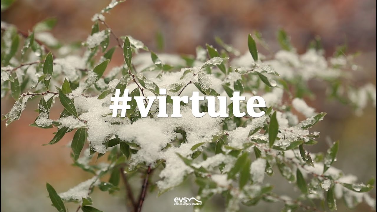 Virtute