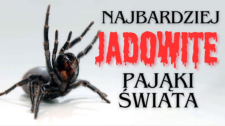 NAJBARDZIEJ JADOWITE pająki na świecie
