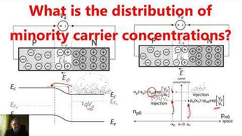 Concentration distribution of minority carriers in a PN junction
