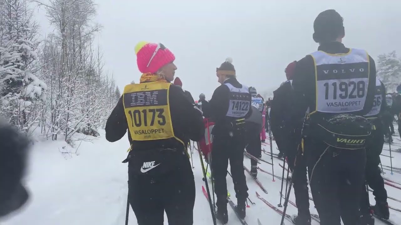 Elinor Wärholm sänder live!