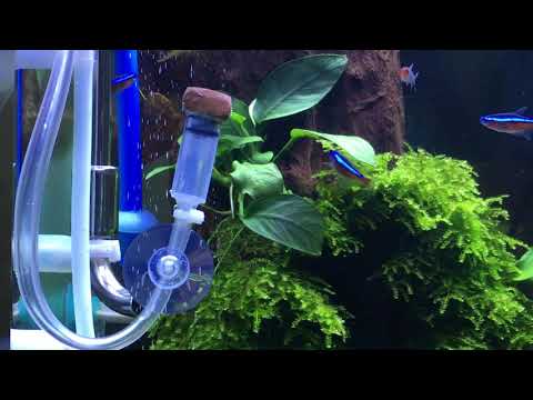 Video Hướng dẫn chế sủi CO2 bằng gạch men - Đơn giản - Siêu... - youtube