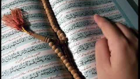 ما تيسر من سورة التوبة للشيخ نبيل العوضي