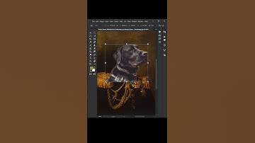 From Pet to Portrait: Turn your Furry Friend into a Medieval Masterpiece #photoshop #dog #cat #pets