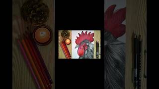 Rooster's portrait drawing/ #shorts