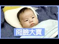 鼠來寶睡前一奶嘴 不給奶嘴就給你一直冏臉【鼠來寶成長紀錄】#12