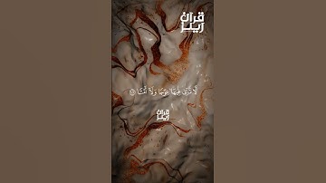 قرآن كريم🍁القارئ محمد اللحيدان🍁(سورة طه )