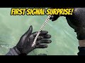 First Target Surprise! - Beach Metal Detecting With Minelab Equinox 800