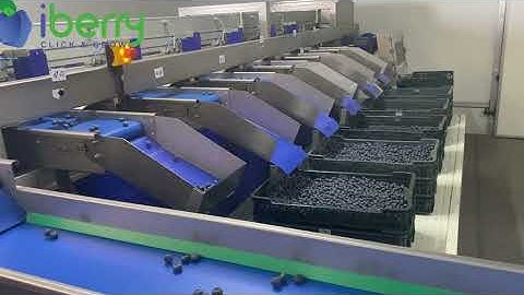 iBerry Ukraine, Unitec sorting & Sorma packing lines