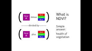 Calcul de NDVI sur ENVI