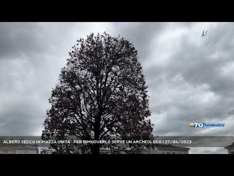 ALBERO SECCO IN PIAZZA UNITA’: PER RIMUOVERLO SERVE UN ARCHEOLOGO | 27/04/2023