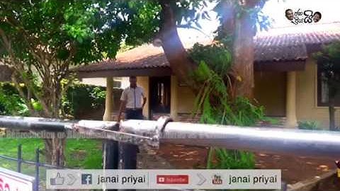 The Gate | Gattuva.....ගේට්ටුව