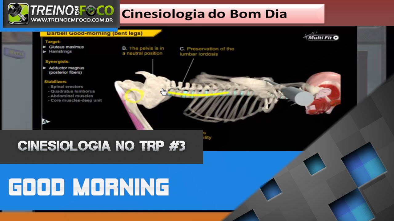 Análise Cinesiológica do exercício Bom Dia - Cinesiologia no TRP #3