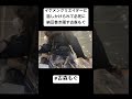 イケメンクリエイターに話しかけられて必死に納豆巻き隠す古森もぐ #jk #jkあるある #あるある #古森もぐ #もぐちゃん