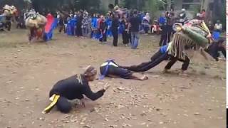 pestival barongsai sekeloa bandung