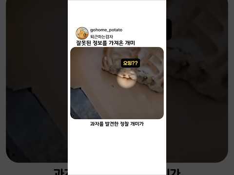 잘못된 정보를 가져온 개미 thumbnail