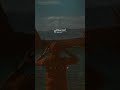 أنشودة أنت الواحد الأحد إصلاح القلوب