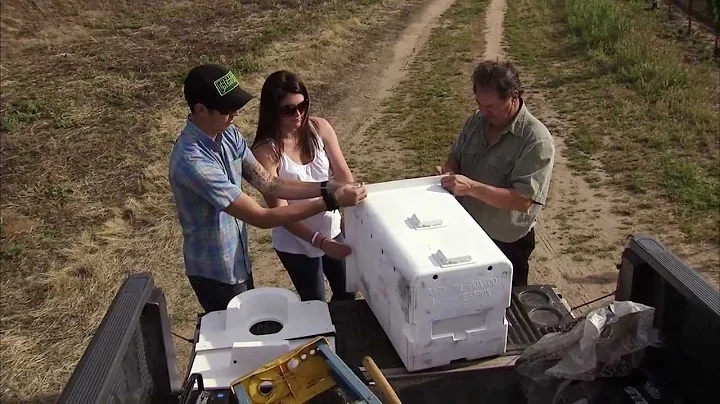 Barn Owls to the Rescue: America's Heartland