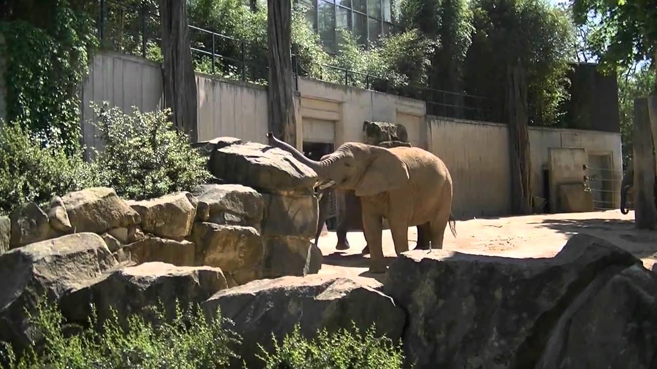 150 Jahre Zoo Dresden (10.05.2011)