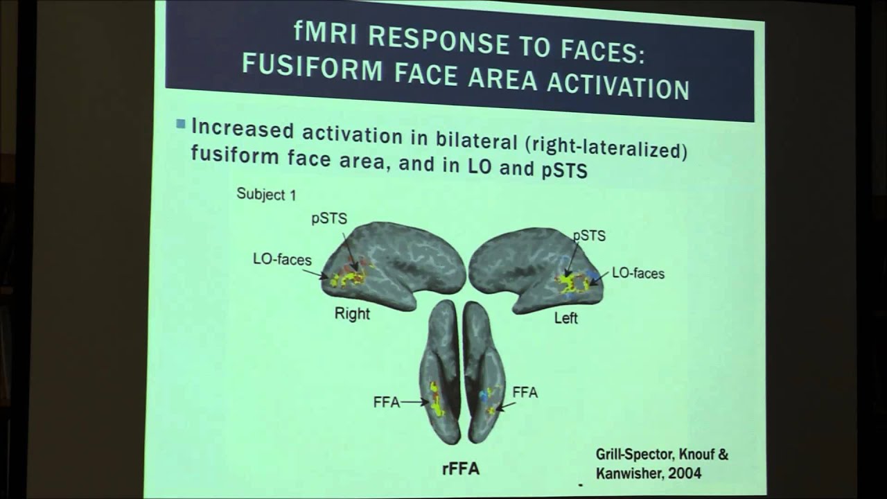 Elizabeth Norton, Ph.D. Using simultaneous EEG-fMRI ...