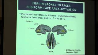 Elizabeth Norton, Ph.D. Using simultaneous EEG-fMRI ...