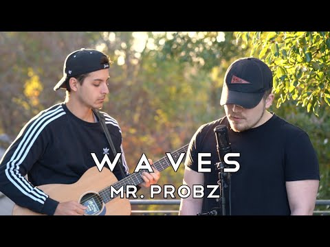 Mr Probz  - Waves (Citycreed Cover)